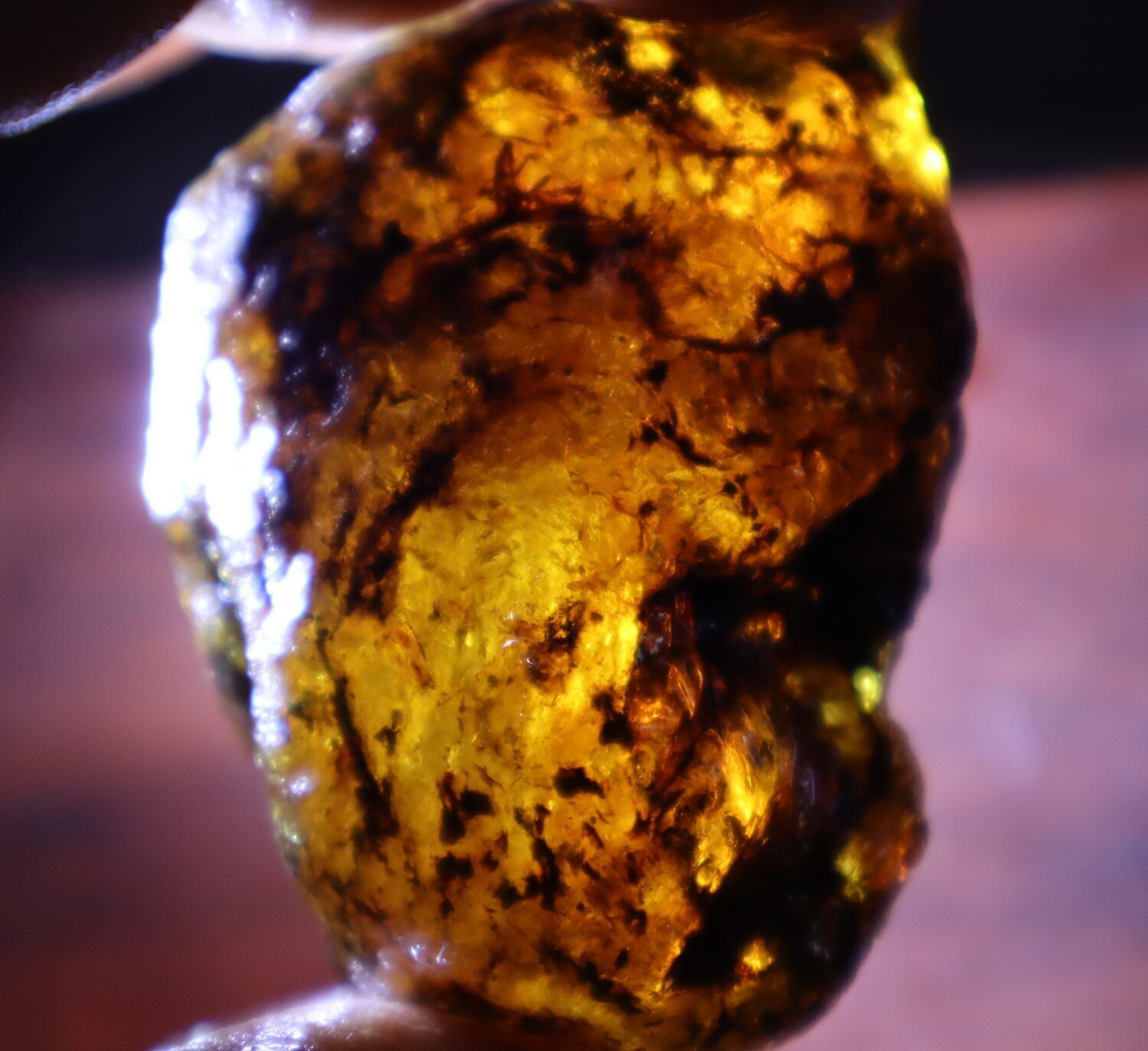 Natural Dominican Blue Green Amber Rough Specimen 51mm 30g Clear – photo 8