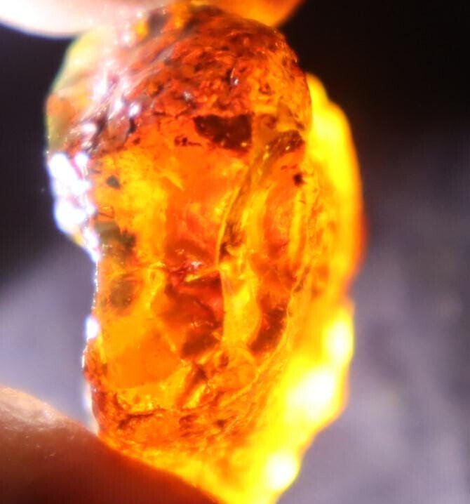 Exquisite Natural Dominican Clear Sky Blue Amber Rough Specimen 44mm 9.7g – photo 3