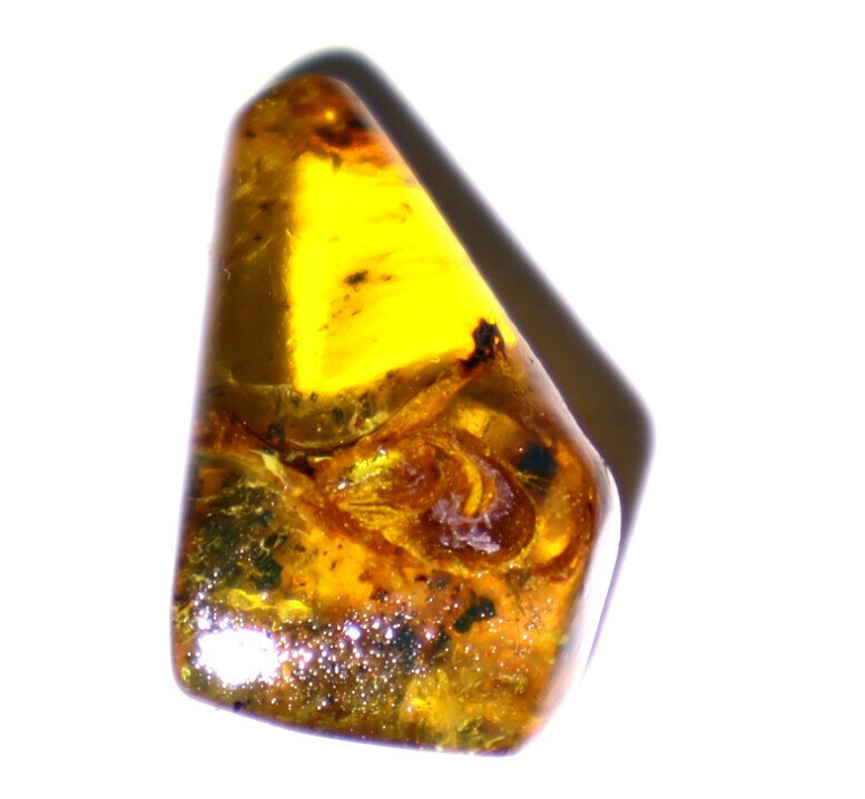 Rarest Natural Dominican Clear Orange Brown Amber Polished Pendant Stone 24mm – photo 9