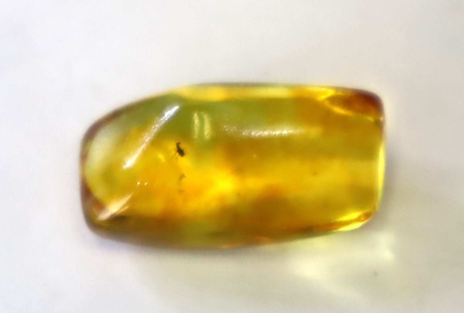 🪶 Rare Fossil Male Midge in Natural Dominican Yellow Amber 22mm – photo 5