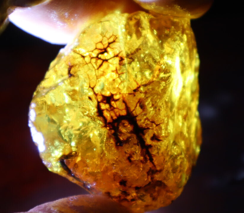 Natural Dominican Crystal Clear Light Blue Yellow Amber Rough Specimen 40mm 20.5 – photo 10