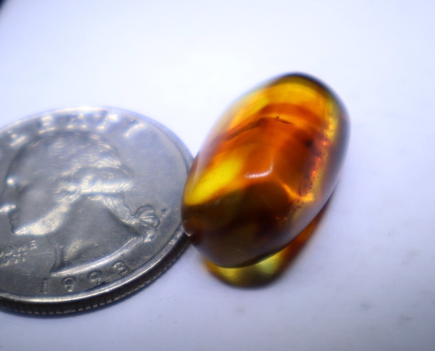Natural Dominican Amber with Spider Inclusion – Prehistoric Arachnid Fossil – photo 3