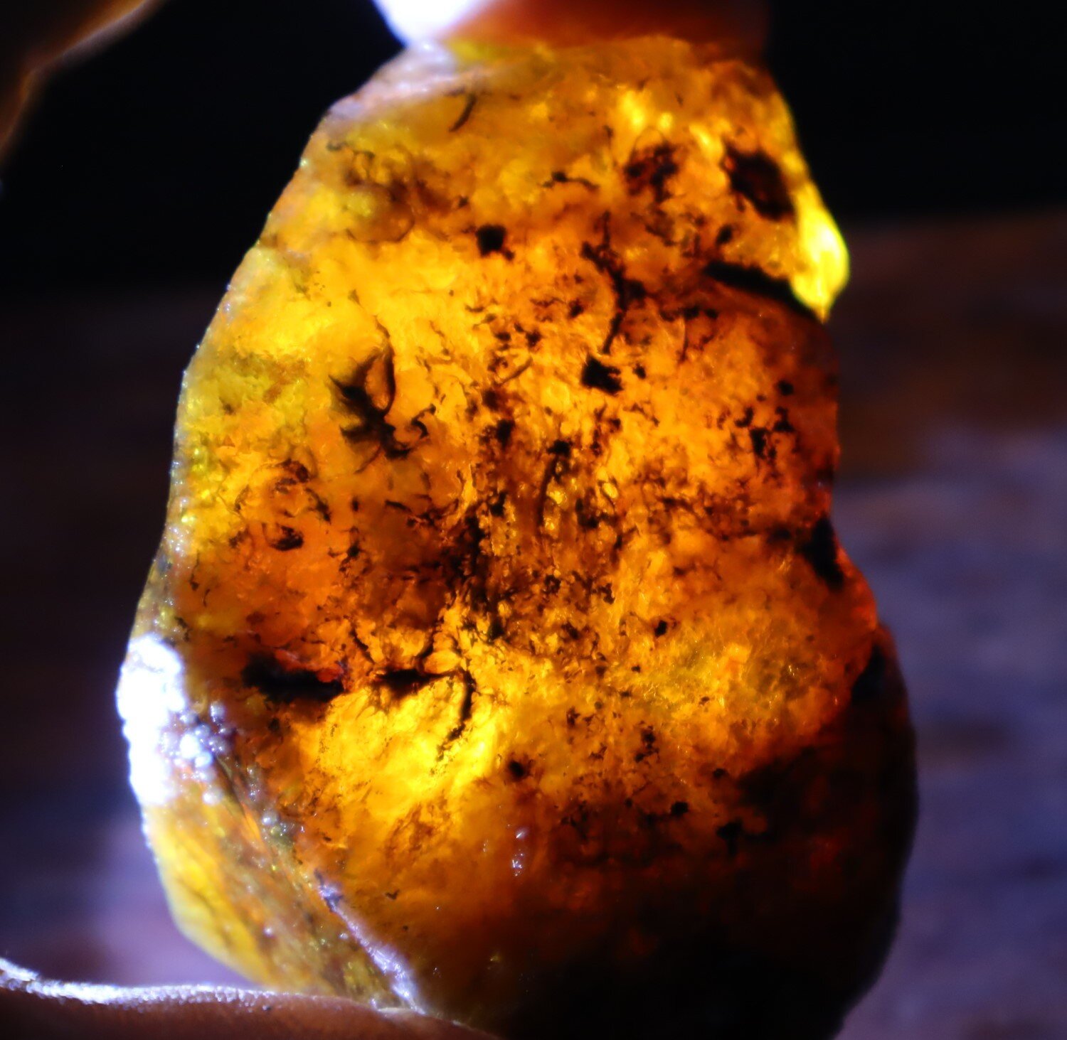 Natural Translucent Yellow Orange Butterscotch Amber Rough Specimen 62mm 34.5g – photo 5