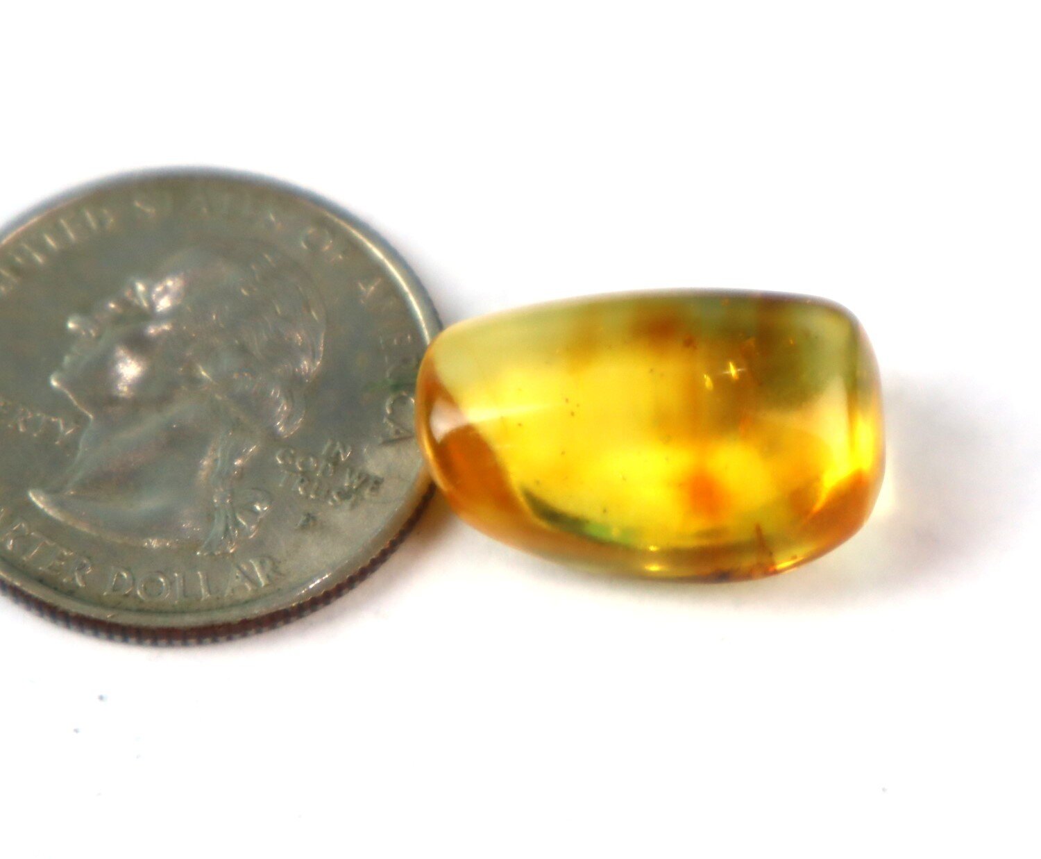 🟡 Natural Dominican Yellow Amber – Fossil Insect Inclusion – photo 3