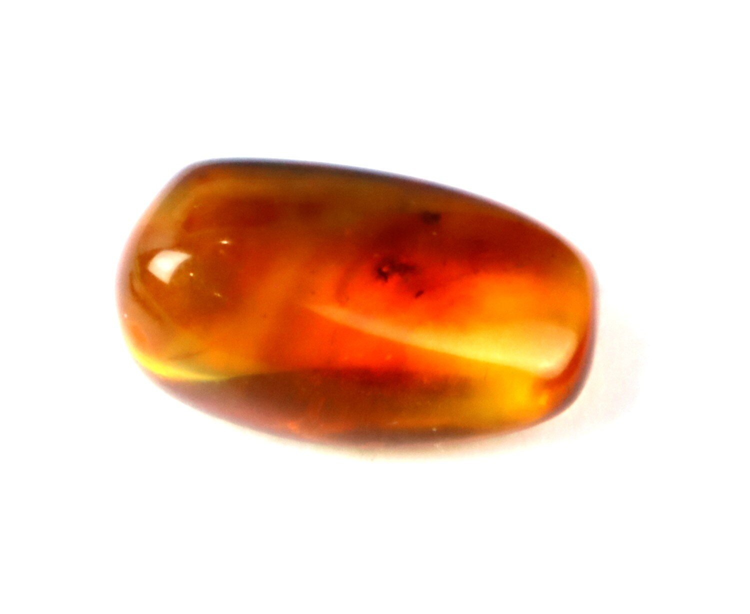 Natural Dominican Clear Amber – Polished with Double Insect Inclusion | 22mm – photo 7