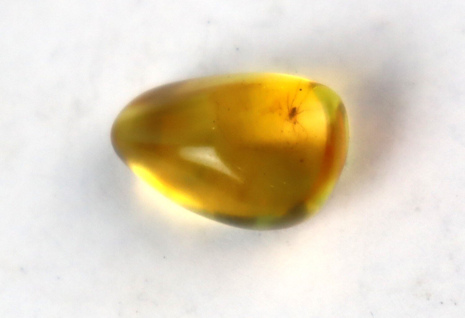 Natural Dominican Yellow Amber – Spider Inclusion – photo 4