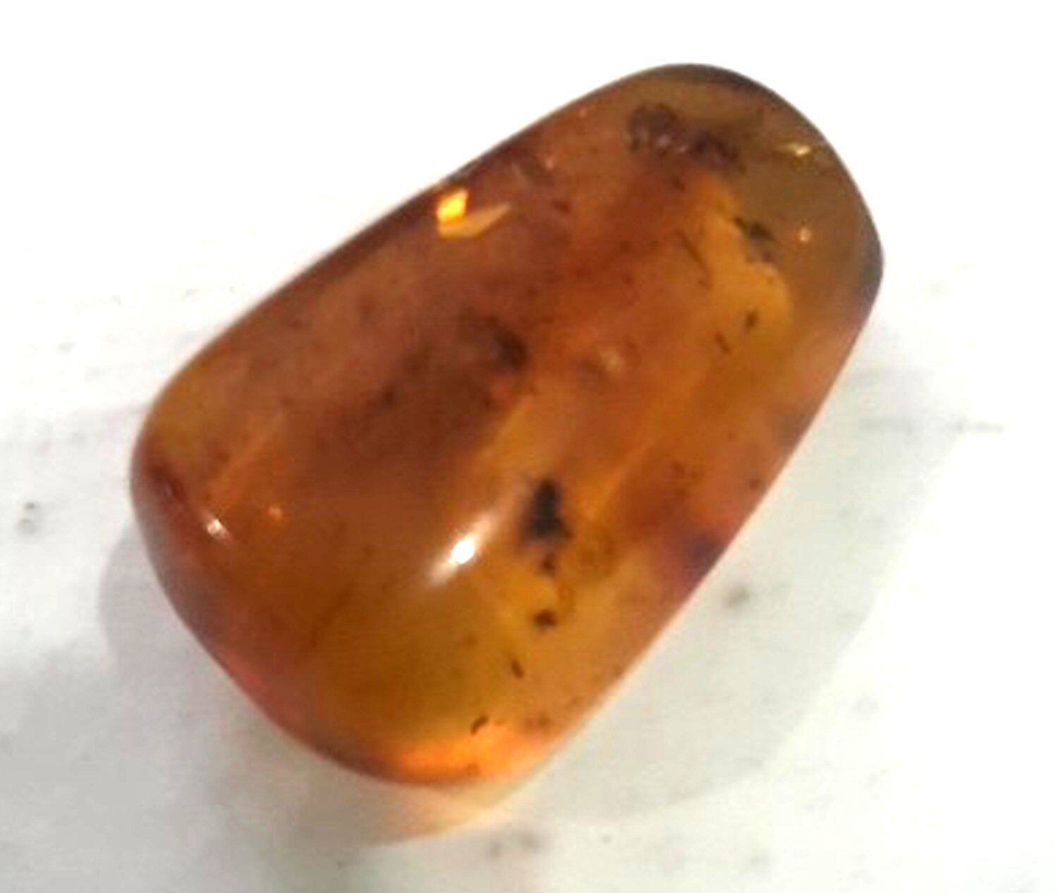 Natural Dominican Amber Insect Fossil | Prehistoric Beetle Inclusion 24mm – photo 3