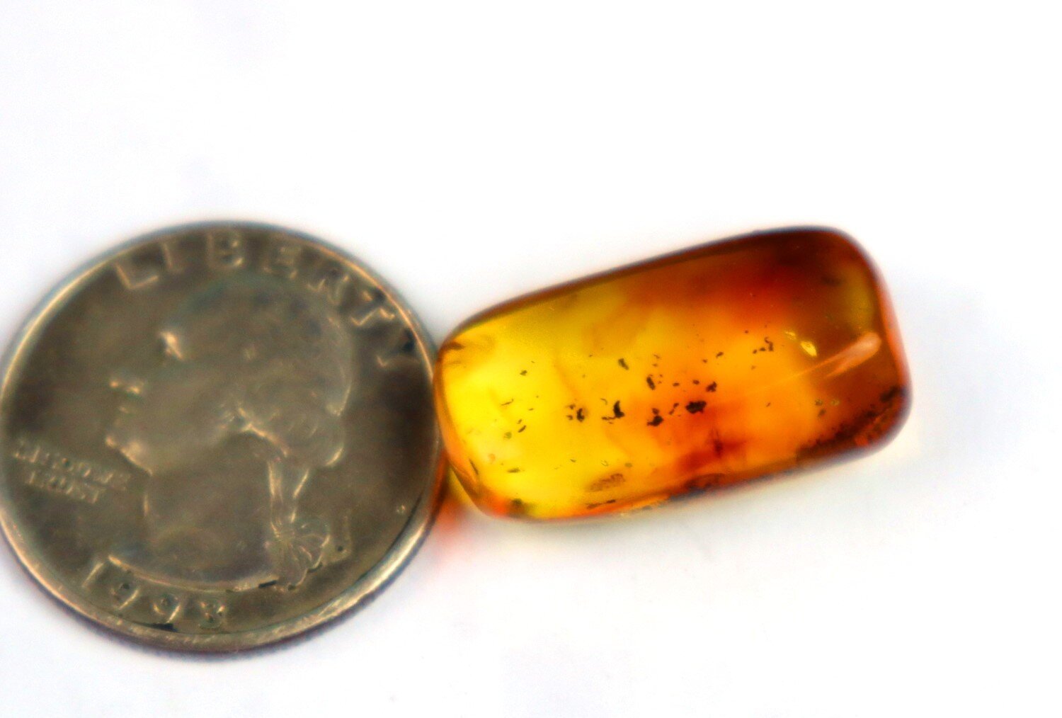 Beautiful Natural Dominican Amber Flying Insect Fossil 24mm – photo 9